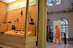 Sala de la Patagonia indigena