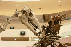 Izq: machauchenia. Der: megaterio. Megafauna sudamericana extinguida hace unos 10.000 años