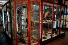 Vista de la sala principal de exposición